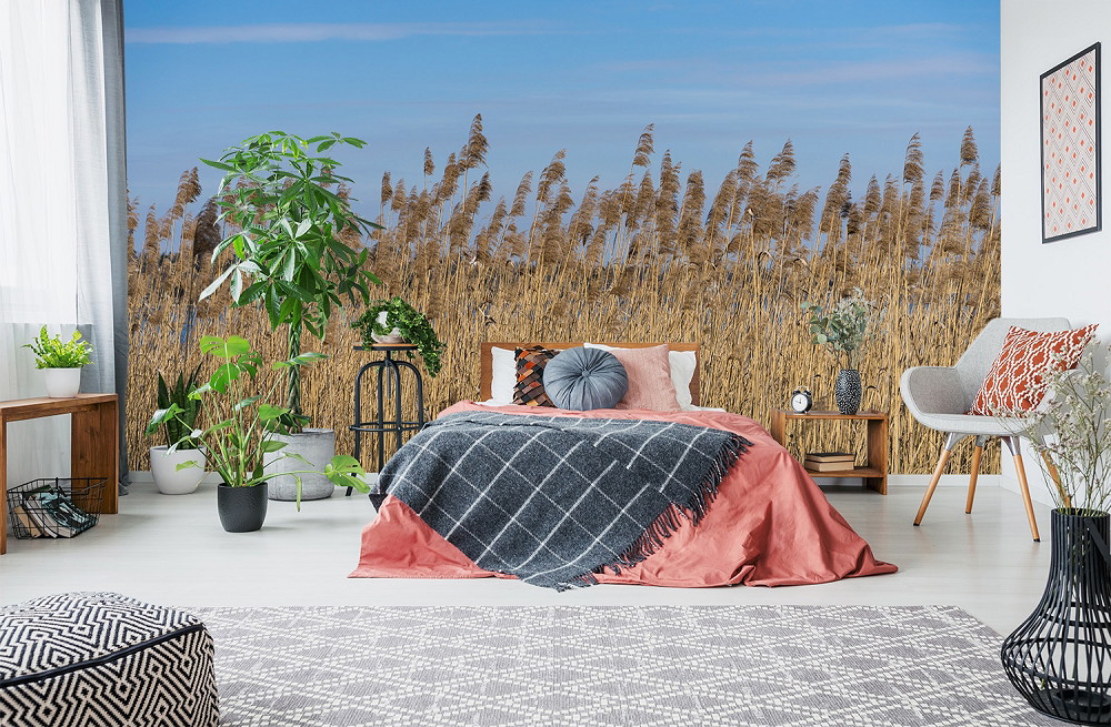 Fototapete - Helles Schlafzimmer mit Schilfgras-Fototapete, Pflanzen und modernen Möbeln