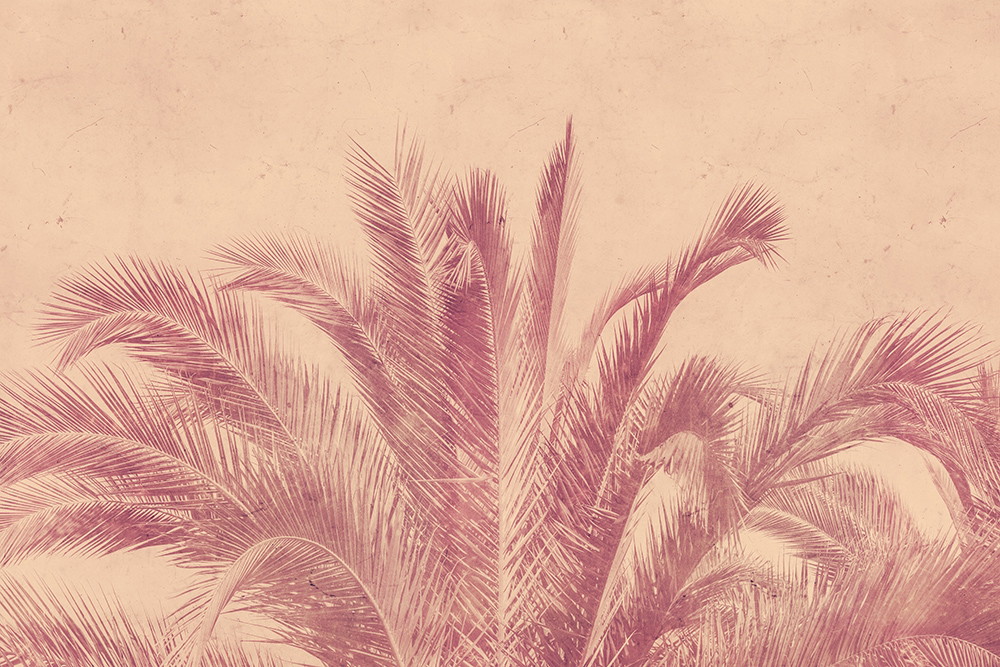 Fototapete - Palmenblätter in einem nostalgischen Rosa-Farbton vor leicht strukturiertem Hintergrund