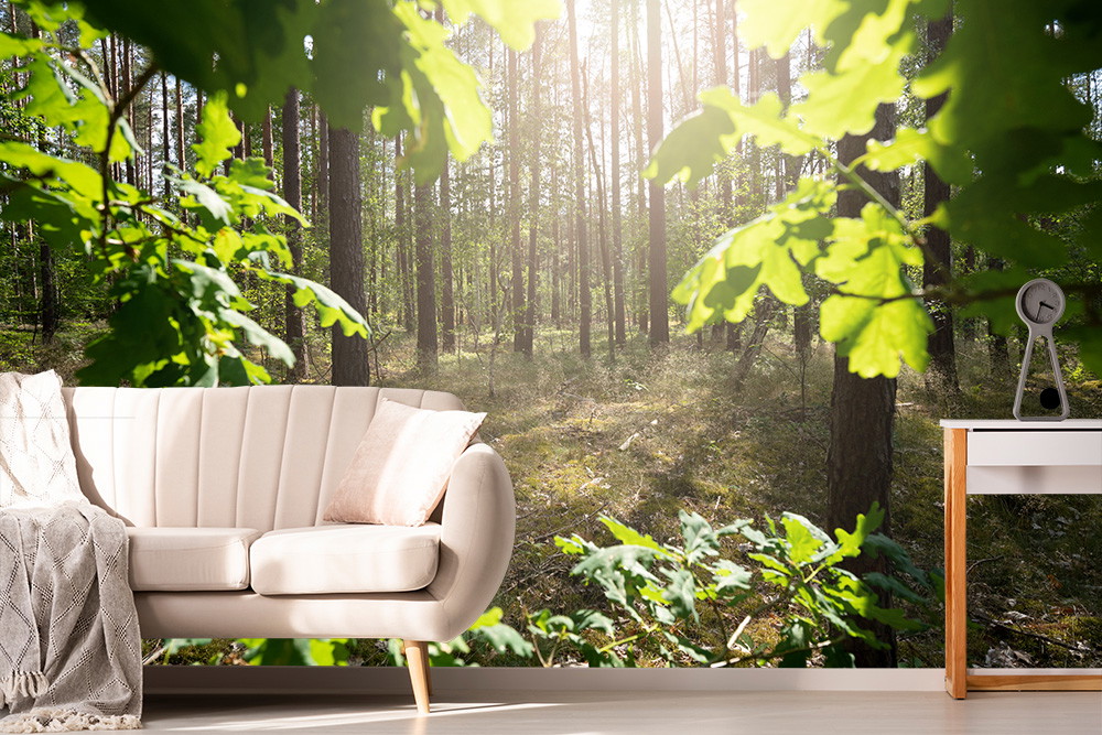Fototapete - Wohnzimmer mit beiger Couch und Schreibtisch vor Tapete eines sonnigen Waldes mit grünen Blättern