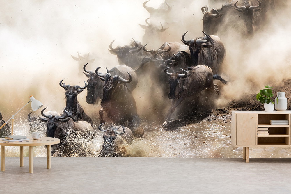 Fototapete - Eine Herde Gnus durchquert dynamisch einen Fluss, umgeben von spritzendem Wasser und aufgewirbeltem Staub.