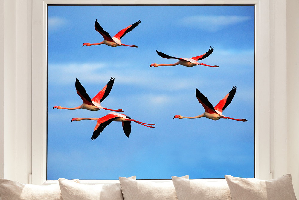 Window film - Flying flamingos