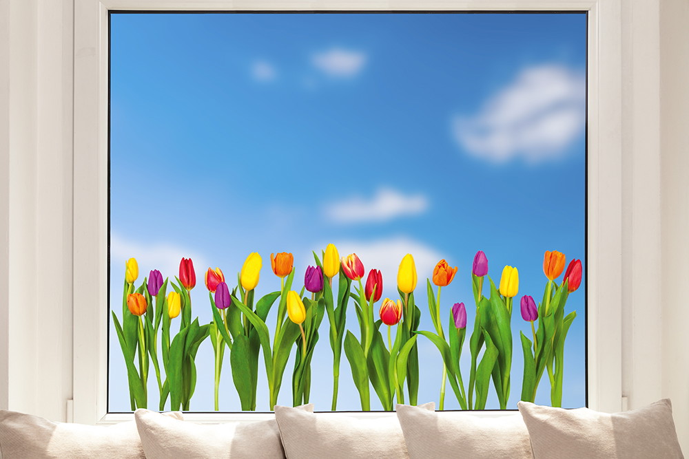 Fenstersticker - Bunte Tulpen vor einem blauen Himmel mit Wolken, ideal für eine frühlingshafte Atmosphäre zuhause