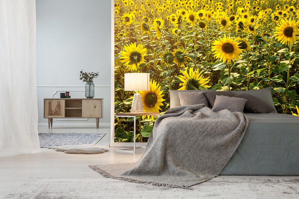 Fototapete - Schlafzimmer mit grauem Bett, Holzmöbel und einer Fototapete von einem lebhaften Sonnenblumenfeld