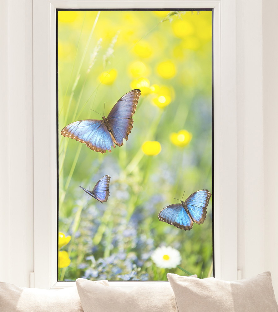 Fensterfolie - Schmetterlinge auf einer Sommerwiese im Sonnenlicht