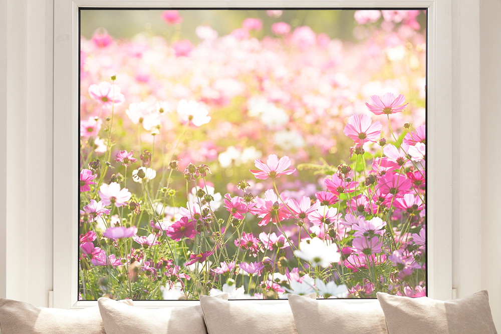 Window film - flower meadow with pink and white blossoms that glow in the sunlight