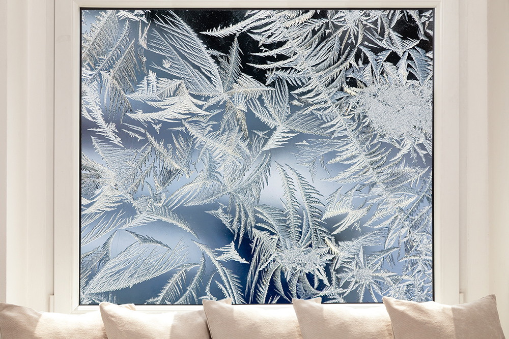 Fensterfolie - Fenster mit detailreichen Eisblumen vor kühlem Hintergrund
