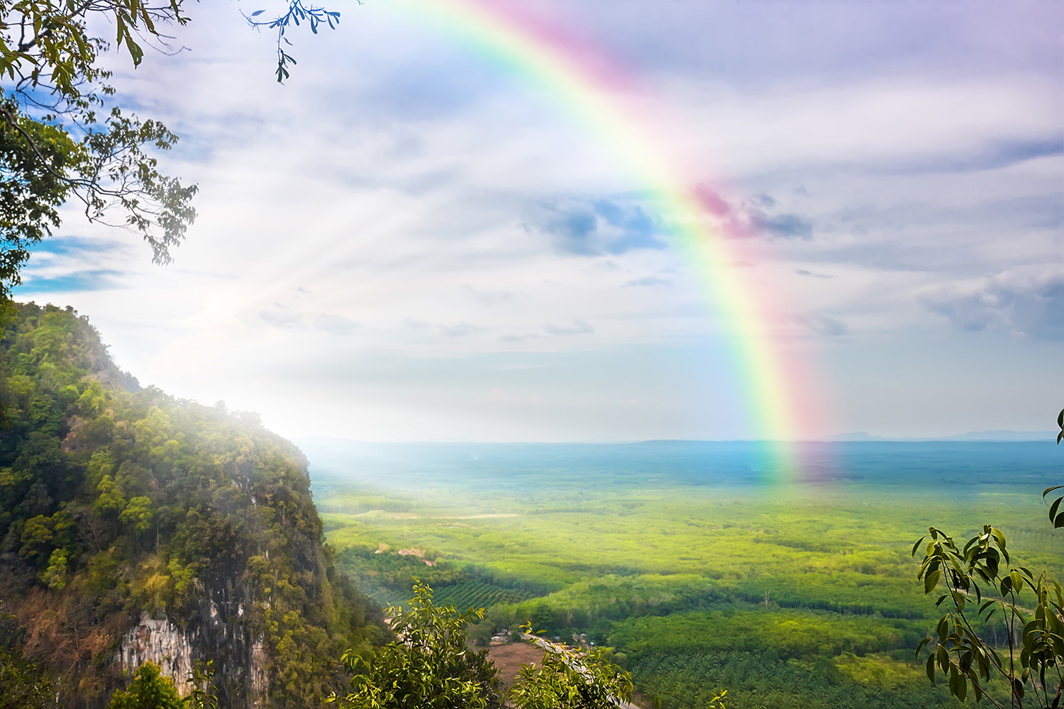 Fototapete - Regenbogen spannt sich über üppig bewaldetes Tal mit blühender Natur