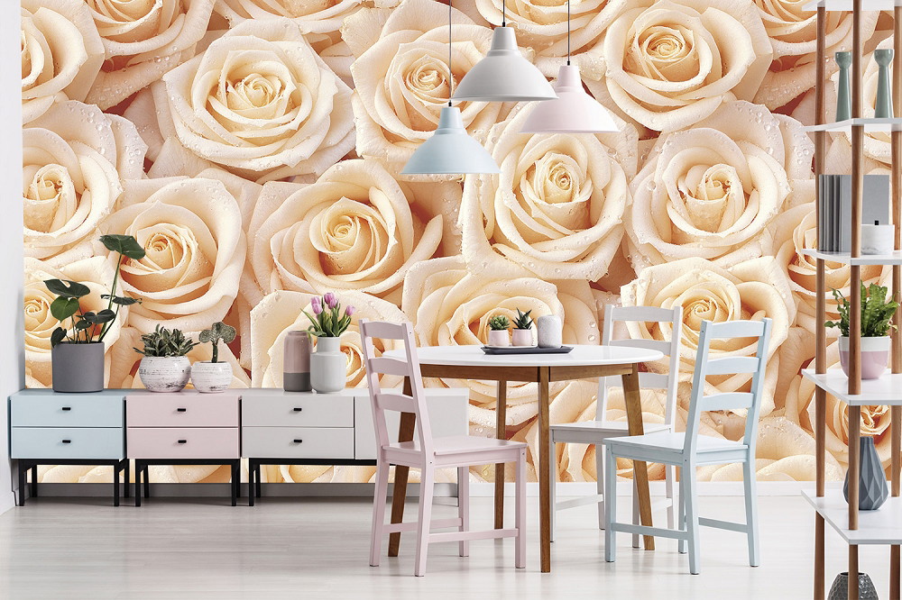 Wall mural - Close-up of cream-coloured roses as a stylish wall decoration in a modern living area