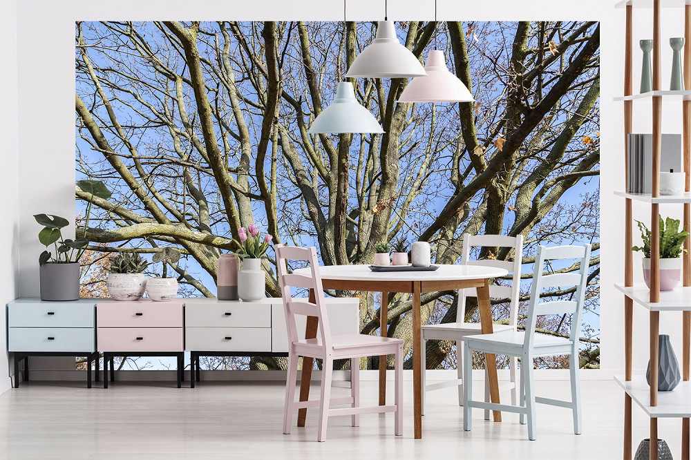 Fototapete - Esszimmer mit Tisch und Stühlen vor einer Wand mit Fototapete eines großen Baumes unter klarem, blauem Himmel.