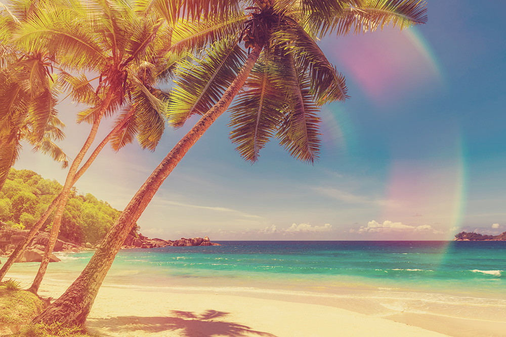 Muurschildering - Een schilderachtig strand met palmbomen, goudkleurig zand en een heldere, turkooisblauwe zee onder een helderblauwe hemel
