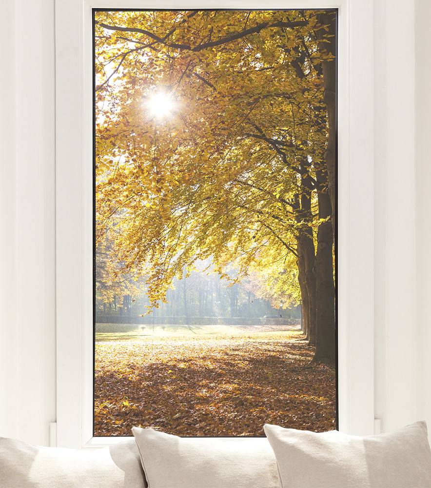 Fensterfolie - Sonnenlicht durch herbstliche Bäume in einem Park