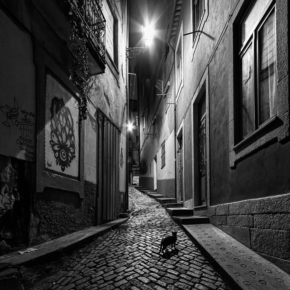 Papier peint photo - atmosphère d'une ruelle nocturne pleine d'ambiance avec un petit chat sur les pavés
