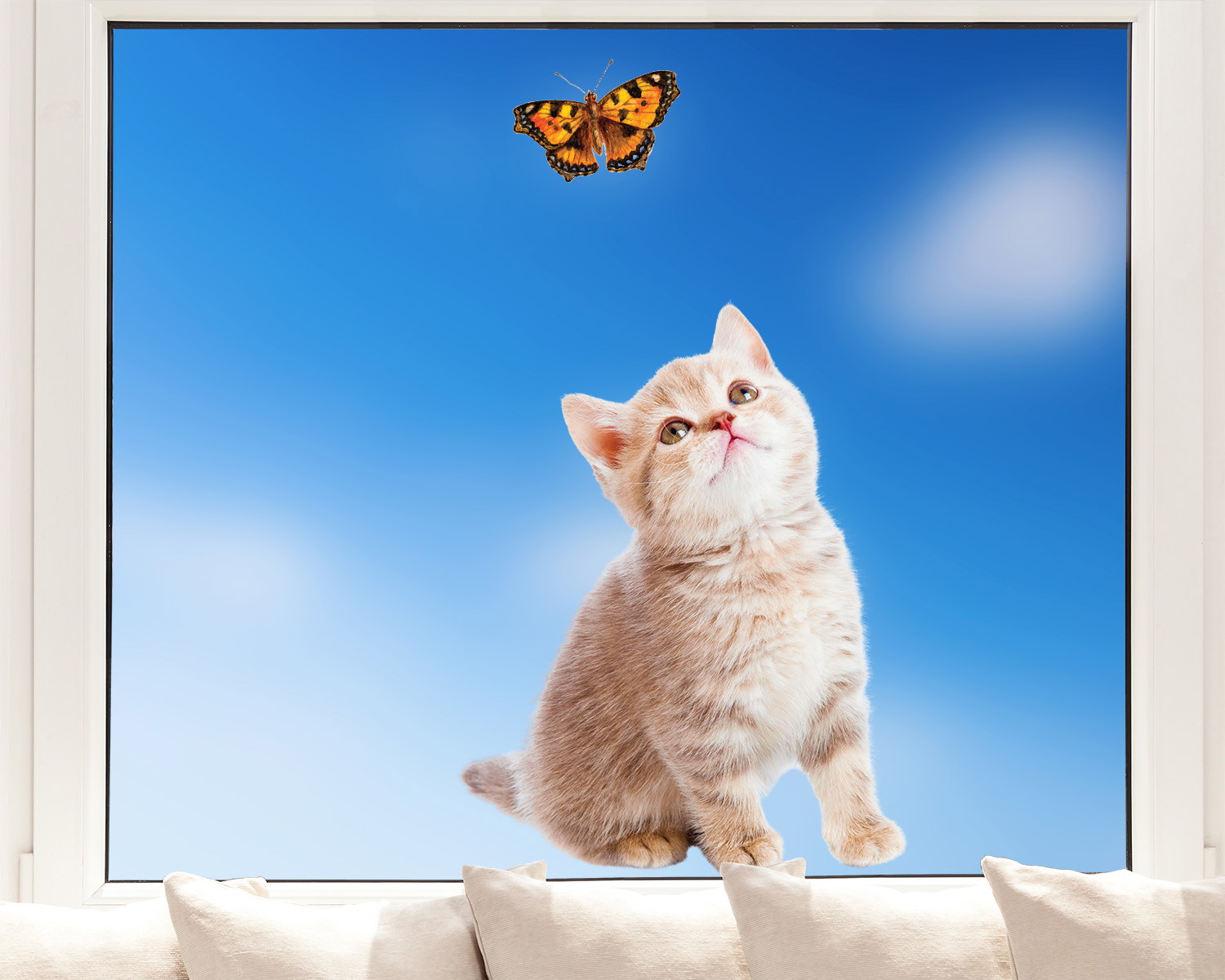 Fenstersticker - Verspieltes Kätzchen blickt neugierig auf einen Schmetterling vor einem klaren blauen Himmel
