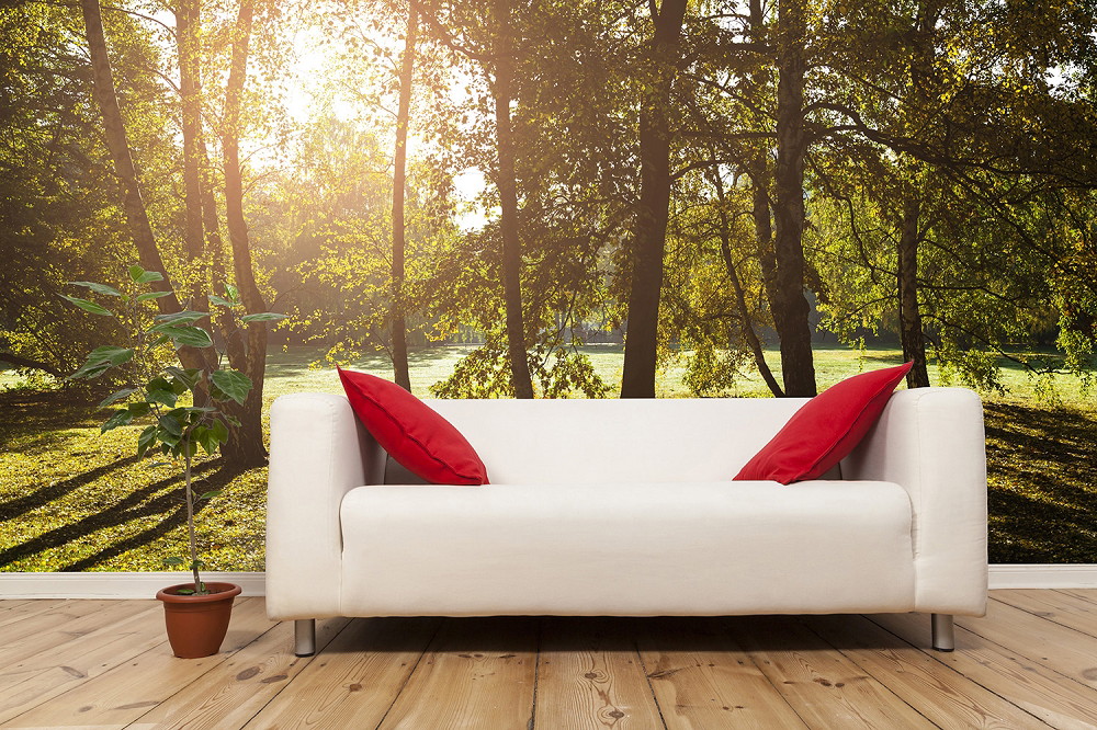 Fototapete - Weißes Sofa mit roten Kissen und Pflanze, im Hintergrund eine Waldtapete mit Sonnendurchbruch
