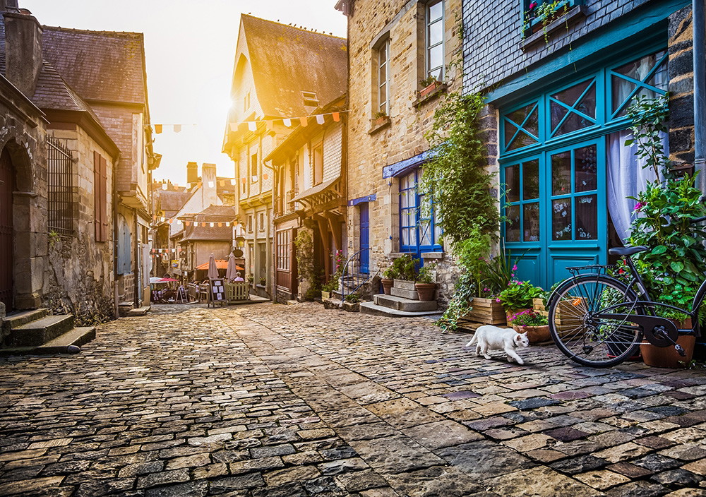 Fototapete - Historische Gasse mit Kopfsteinpflaster und bunten Fassaden im Sonnenlicht, dekoriert mit Pflanzen und Fahrrad