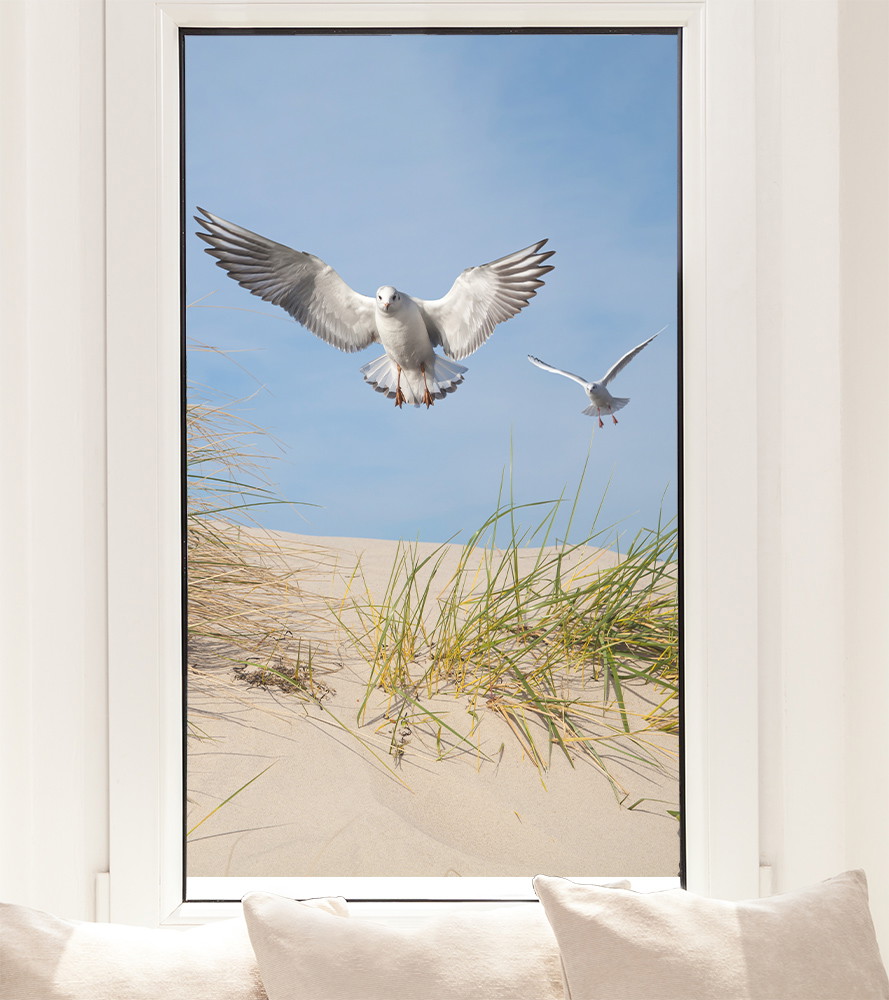 Fensterfolie - Möwen über den Dünen an der Ostsee