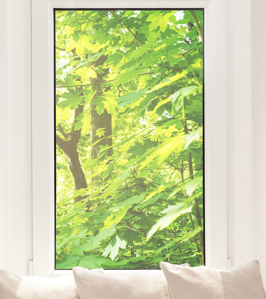 Fensterfolie - Blick aus dem Fenster auf leuchtend grüne Blätter und Bäume