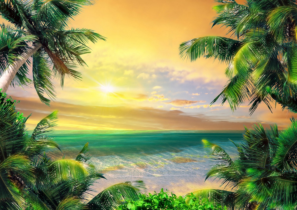Fotobehang - Tropisch strand bij zonsondergang met palmbomen en een rustige zee