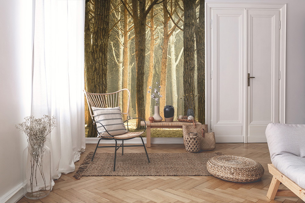 Papier peint photo - salon avec motif de forêt inondé de lumière sur le mur