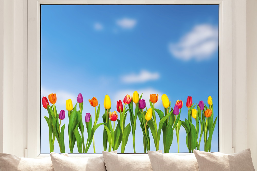 Fenstersticker - Lebendige Tulpen vor einem strahlend blauen Himmel in einem Fensterrahmen