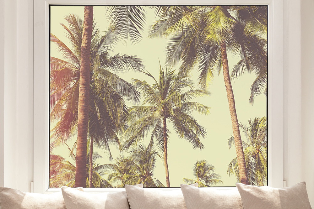 Raamfolie - palmbomen in een retro look