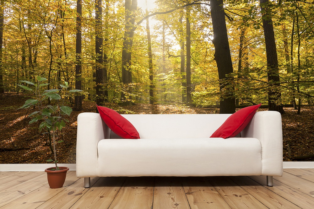 Papier peint photo - Canapé blanc avec des coussins rouges devant un mur avec une image de forêt automnale montrant des rayons de soleil.