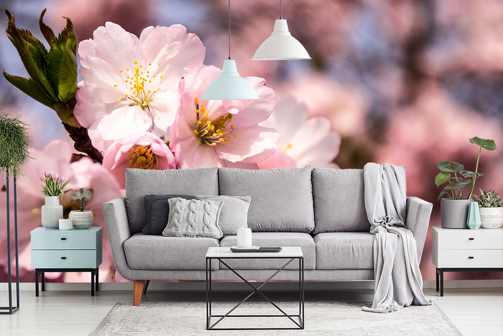 Fototapete - Gemütliches Wohnzimmer mit grauem Sofa und Kirschblütenbild an der Wand