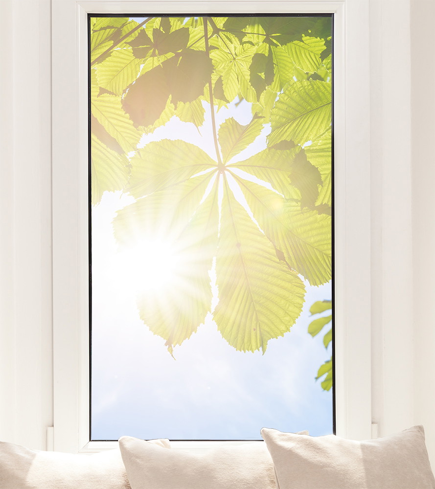 Fensterfolie - Kastanienblätter im Sonnenlicht