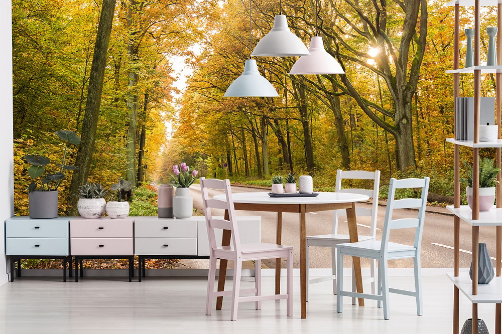 Muurschildering - woonkamer met gedekte tafel, voor een behang met herfstig bospad