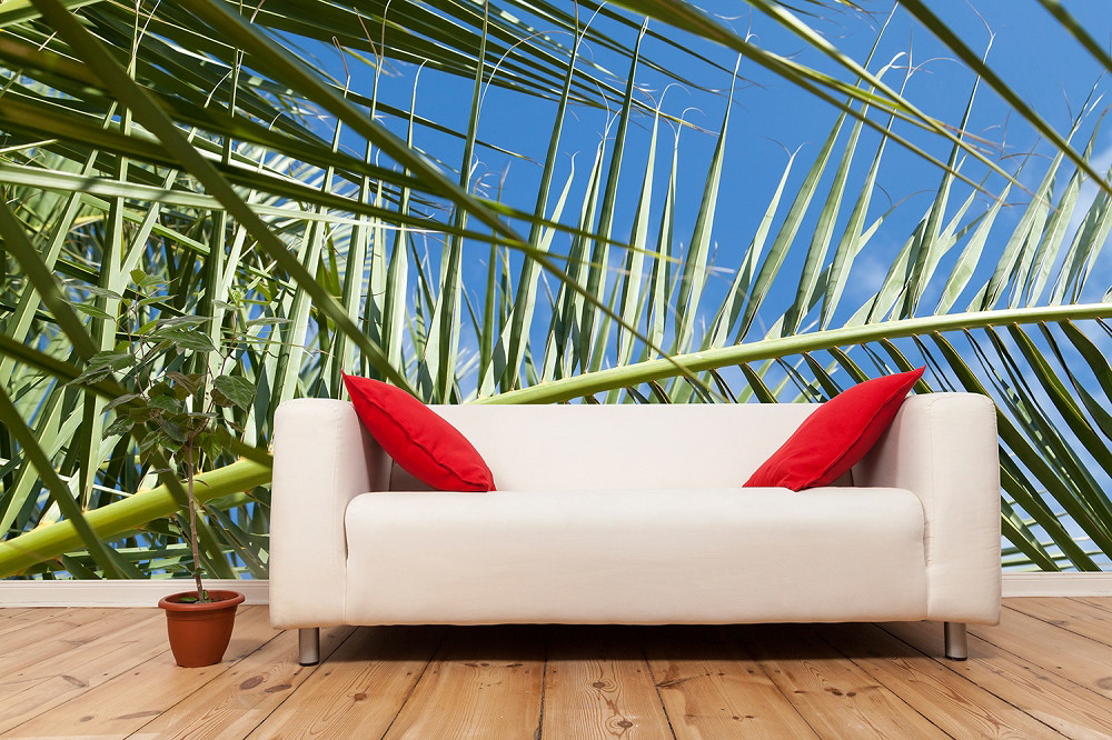 Fototapete - Close-up von grünen Palmenblättern mit blauem Himmel im Hintergrund, dekoriert mit einem weißen Sofa und roten Kissen