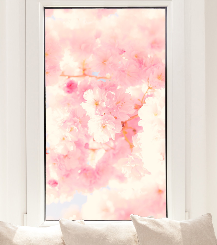 Fensterfolie - Rosafarbene Kirschblüten in voller Blüte, sichtbar durch ein Fenster
