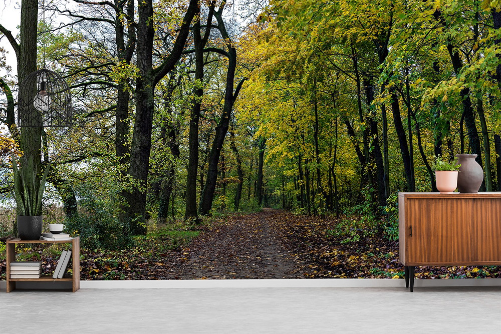 Papier peint photo - chemin forestier dans une forêt en automne, entouré d'arbres au feuillage jaune et vert