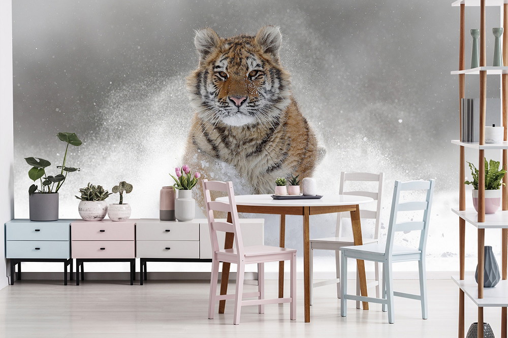 Papier peint photo - Un grand tigre marchant à travers des chutes de neige donne à la pièce une atmosphère sauvage et naturelle.