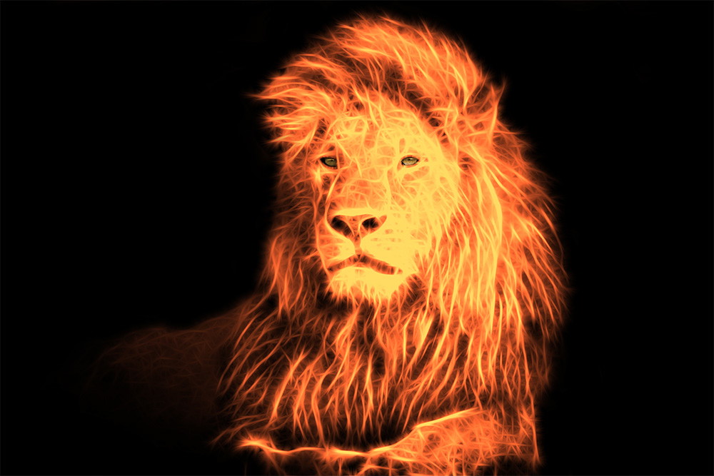 Wall mural - Glowing lion in bright orange on a black background