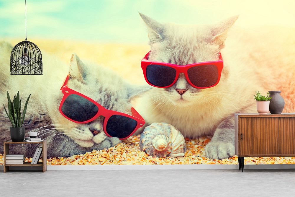 Fototapete - Zwei Katzen mit roten Sonnenbrillen entspannen am Strand mit einer Muschel im Vordergrund