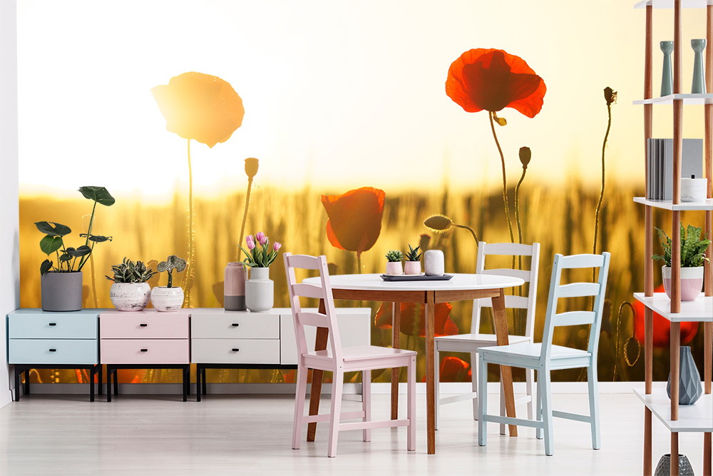 Fototapete - Roter Mohn im Sonnenuntergang als Dekoration im Esszimmer