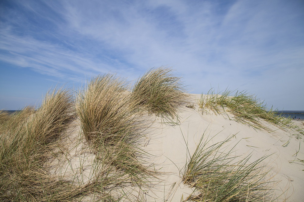 Fototapete - Natürliche Küstenlandschaft mit Sanddünen und Gras vor blauem Himmel