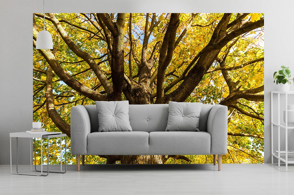 Fotomurale - Soggiorno con divano grigio e una carta da parati con foto naturalistica di un albero con foglie gialle autunnali sullo sfondo