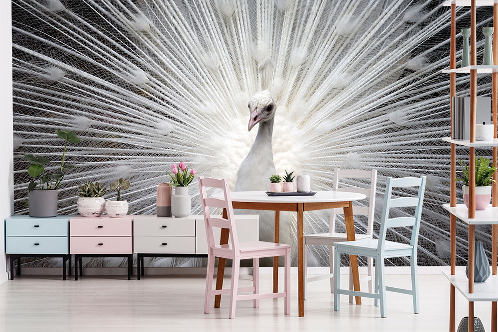 Fototapete - Weißer Pfau mit prachtvollem Federkleid im Esszimmer mit moderner Einrichtung