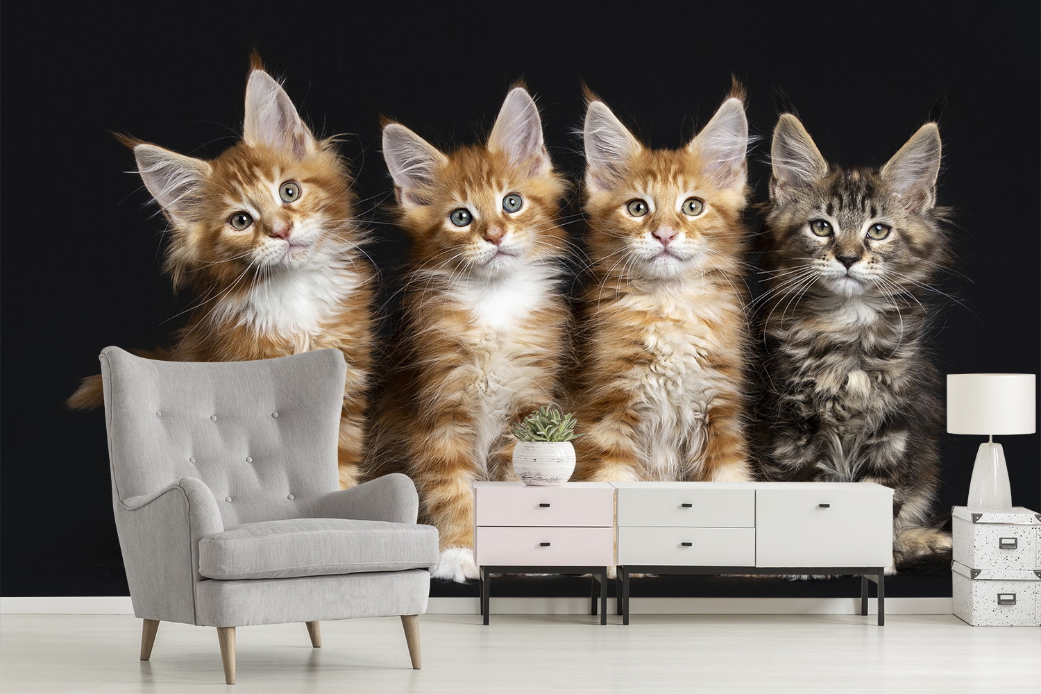 Papier peint photo - quatre adorables chatons sur fond noir, parfait pour un salon confortable