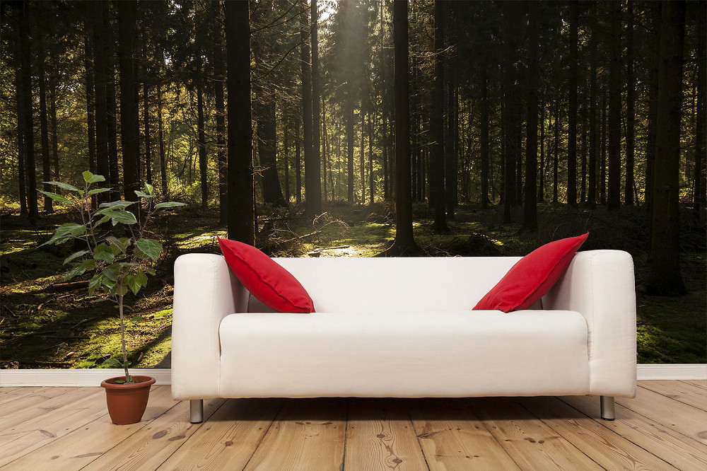 Fototapete - Waldlandschaft mit Sonnenstrahlen hinter einem weißen Sofa mit roten Kissen im Wohnzimmer