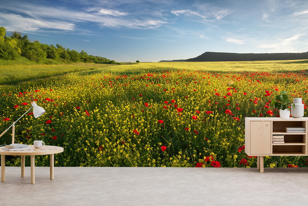 Papier peint photo - Magnifique paysage de prairie avec des coquelicots rouges et des fleurs jaunes sur fond de ciel dégagé.