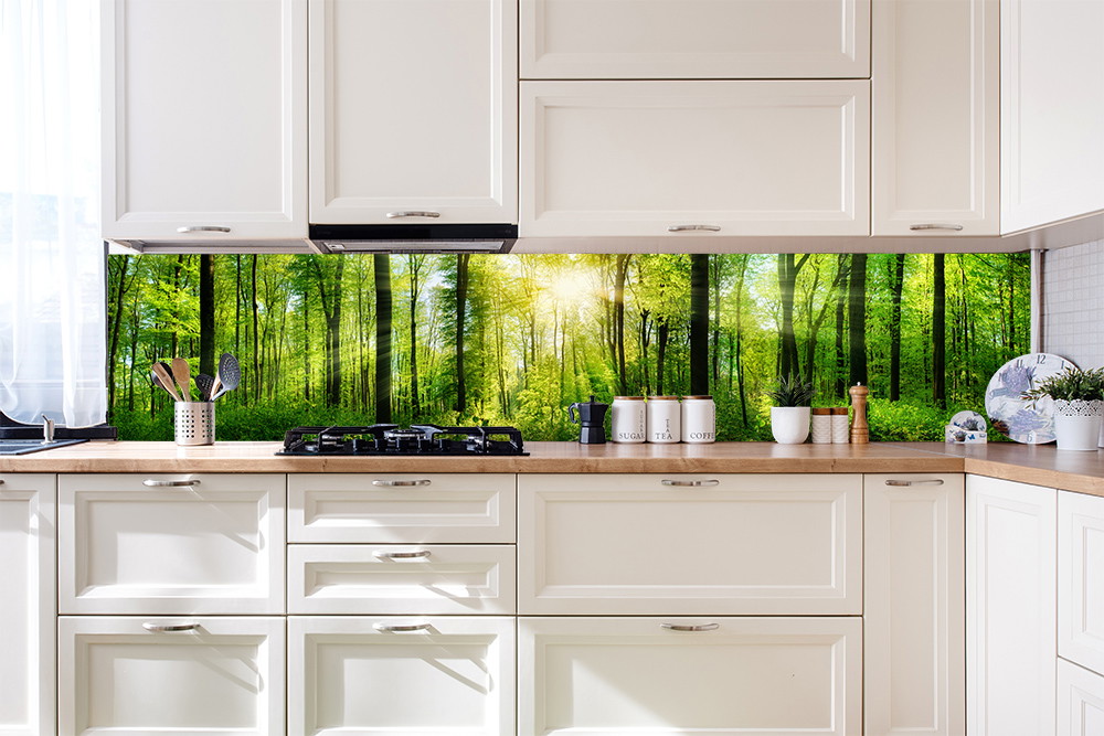 Panel kuchenny - Promienie słońca w lesie jako aluminiowy dibond
