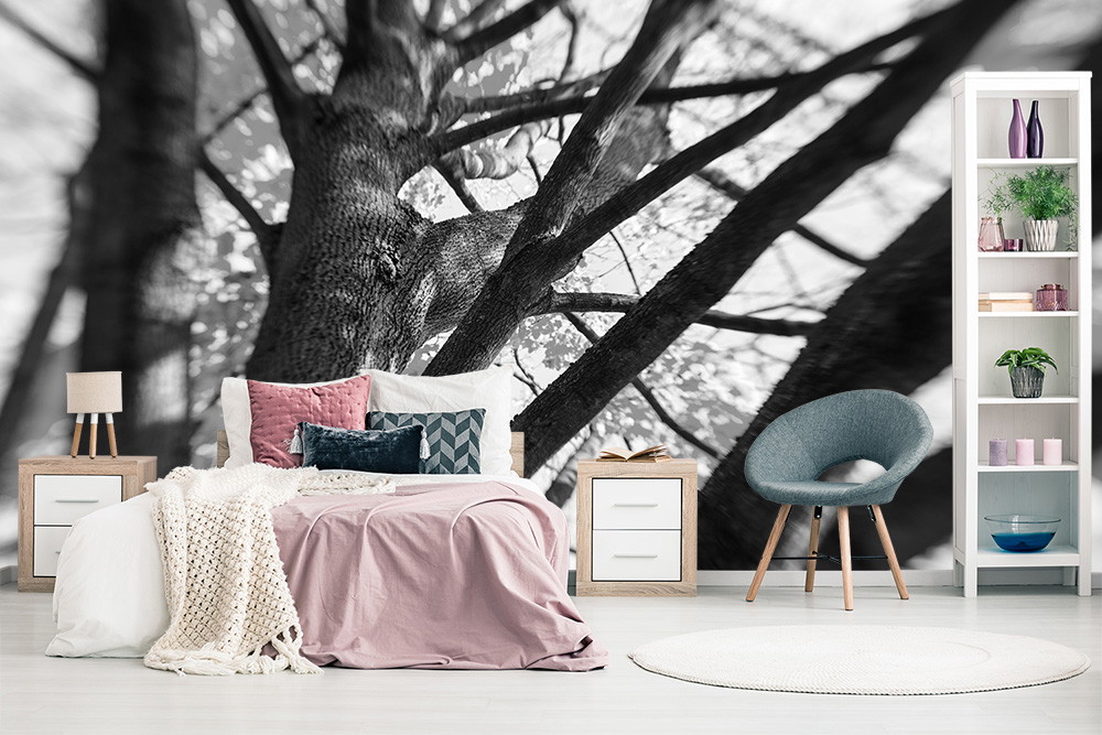 Wall mural - Bedroom in soft colours with impressive tree motif in black and white on the wall