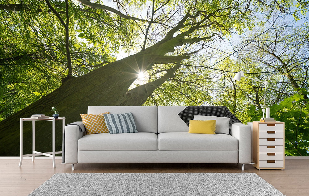 Fotobehang - Een moderne woonkamer met een bank en op de achtergrond fotobehang met een grote, groene boom die in het zonlicht staat.