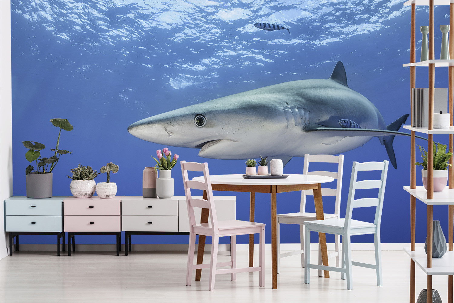 Papier peint photo - Grand requin nageant dans l'océan bleu derrière un coin repas élégamment décoré avec des plantes et des meubles