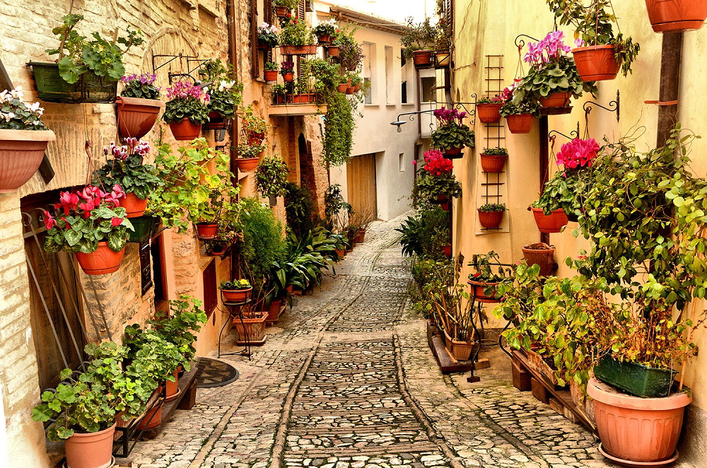 Muurschildering - Charmante, smalle straat in een Italiaans dorp, omzoomd met weelderige bloemen en groene planten.