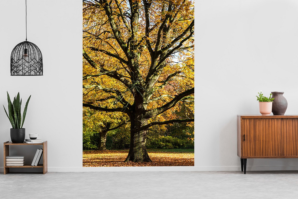 Fototapete - Baum mit gelben Herbstblättern in modernem Wohnzimmer