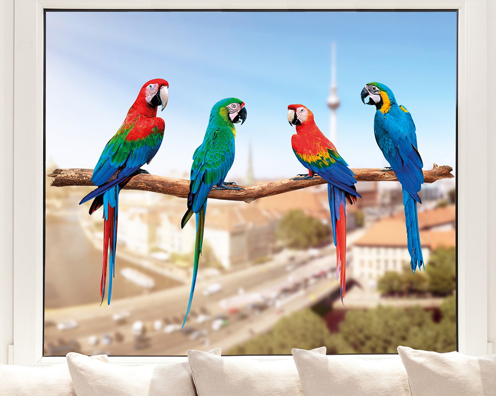 Fensterfolie - Vier bunte Papageien sitzen auf einem Ast mit unscharfer Stadtlandschaft im Hintergrund