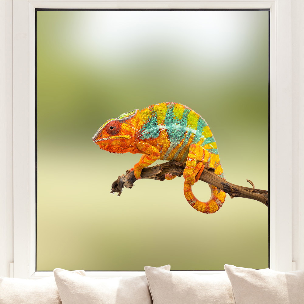Fensterfolie - Buntes Chamäleon, das auf einem Ast sitzt, mit verschwommenem Hintergrund in Grüntönen, als Fensteransicht.